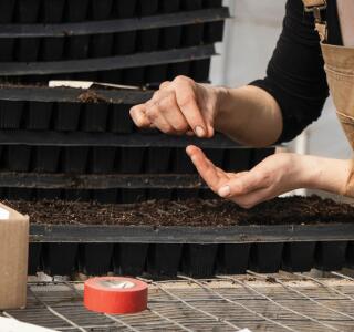 Area Interest Hero Image Horticulture